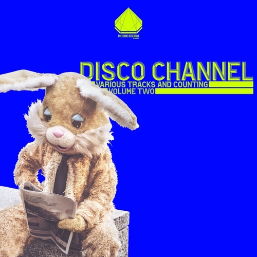 Disco Channel - Various Tracks and Counting, Vol. 2 [10269932]